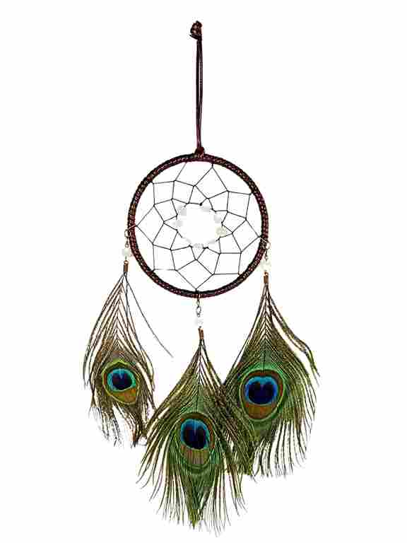 Peacock Feather Hanging